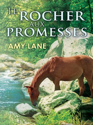 cover image of Le Rocher aux Promesses